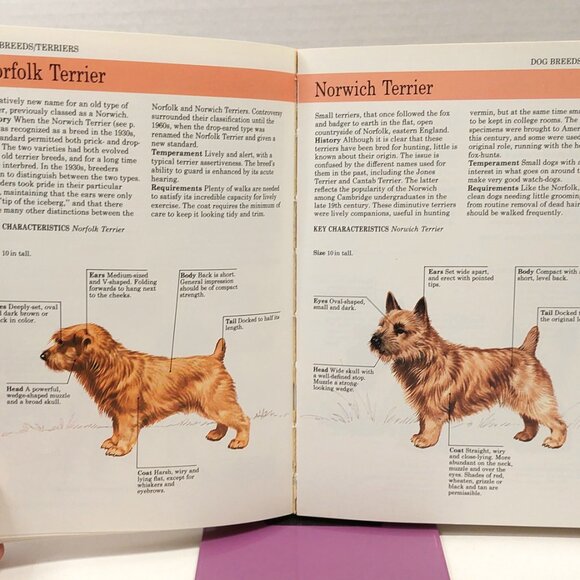 David A. Taylor Book Lot - You and your Dog, You and you Cat 1986 Paperback - Picture 6 of 6